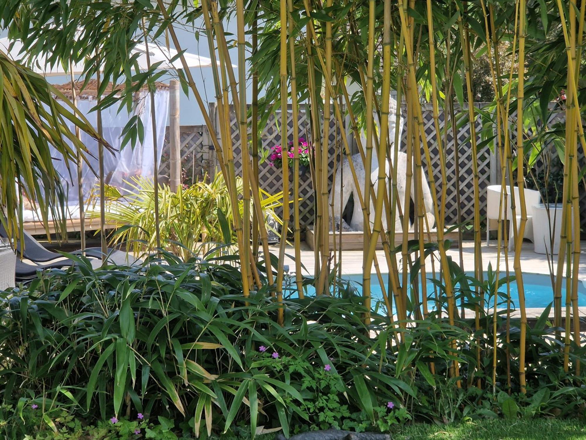 La Serenite Balinaise, Chambre Et Sdb Privee, Jardin , Piscine Et Jacuzzi En Saison, Pres De Chantilly, Parc Asterix Et Cdg Et Paris En 20' Orry-La-Ville Exterior photo